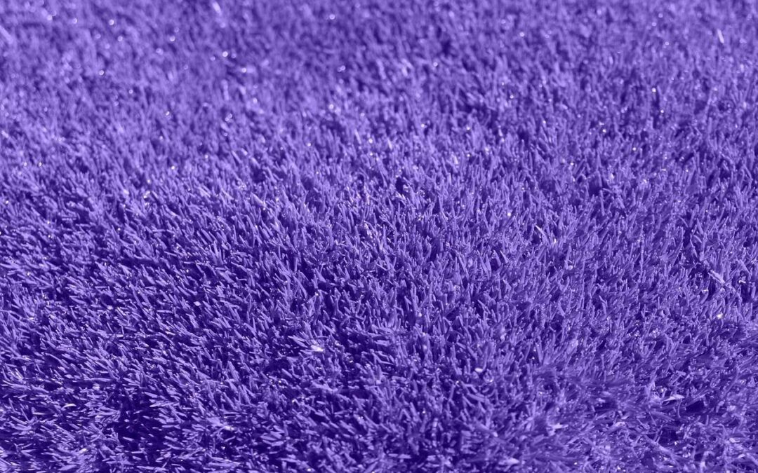 Commercial Carpet Cleaning Essex