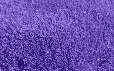 Commercial Carpet Cleaning Essex