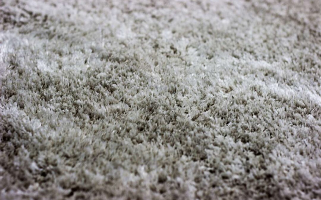 Carpet Cleaning Essex