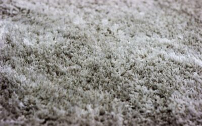 Carpet Cleaning Essex