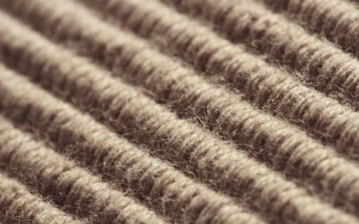 Are these hidden nasties in your carpet?