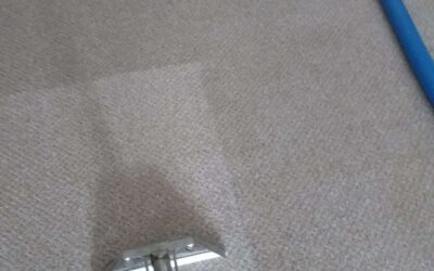 The difference between steam cleaning and dry cleaning – which is right for your carpet?